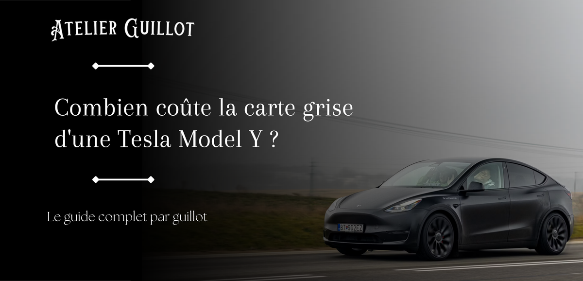 Combien coûte la carte grise d'une Tesla Model Y ? Image