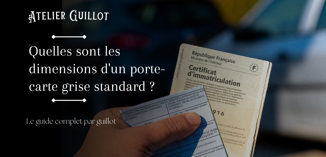 Quelles sont les dimensions d'un porte-carte grise standard ?