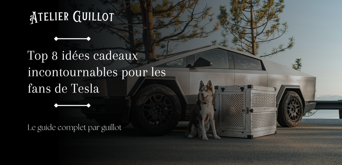 Idées cadeaux pour fan de la marque Tesla 